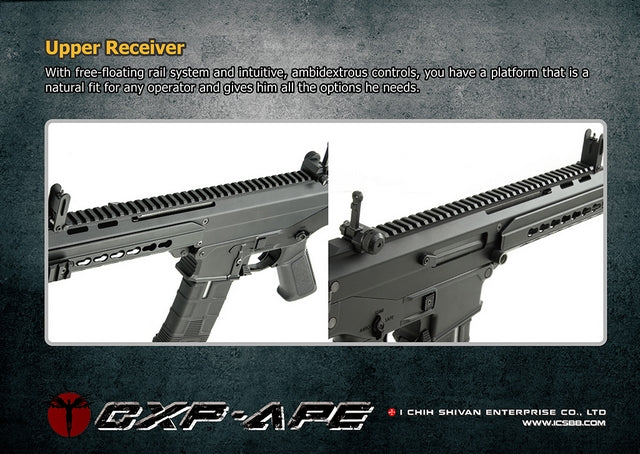 CXP-APE EBB Electric Blow Back by ICS