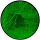 Logo produttore di Nightvision Italia