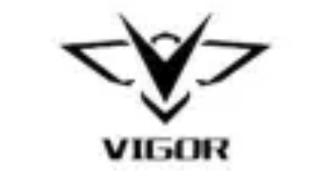 Logo produttore di Vigor