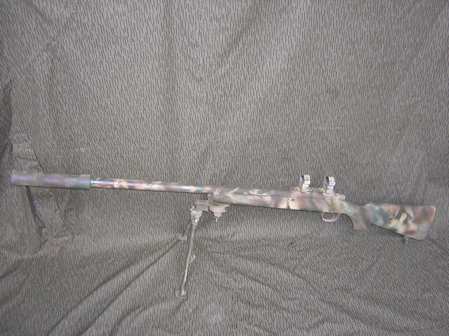 Sauer S92 Custom