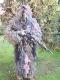 Ghillie Camouflage Burlap & Leaf Suit Woodland